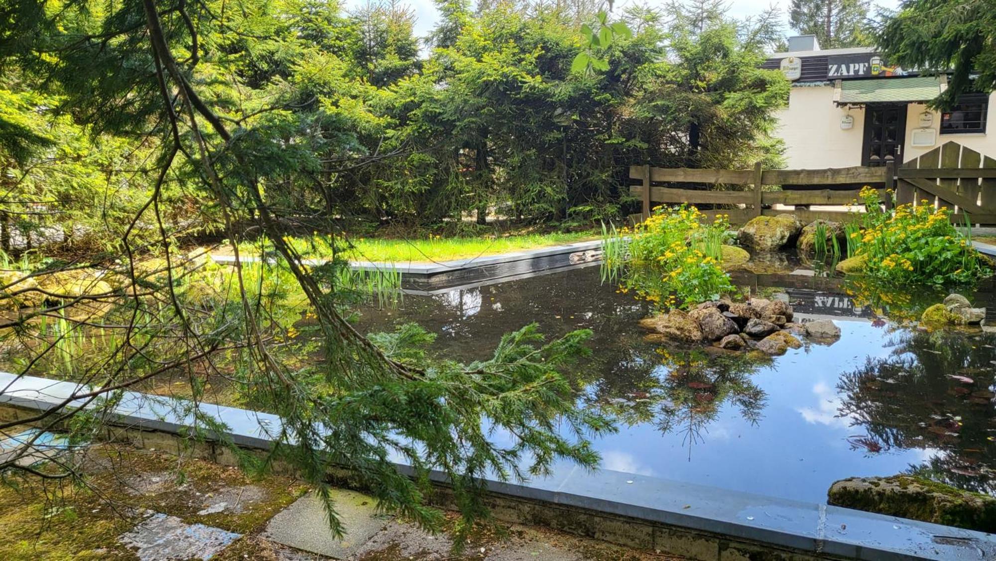 Familienwohnung Gruenwald Goslar Ngoại thất bức ảnh